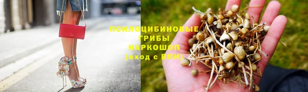 амф Абинск