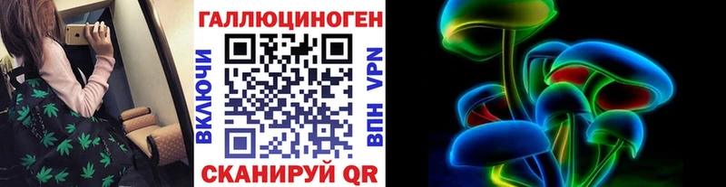 Галлюциногенные грибы Psilocybe  хочу   Севастополь 